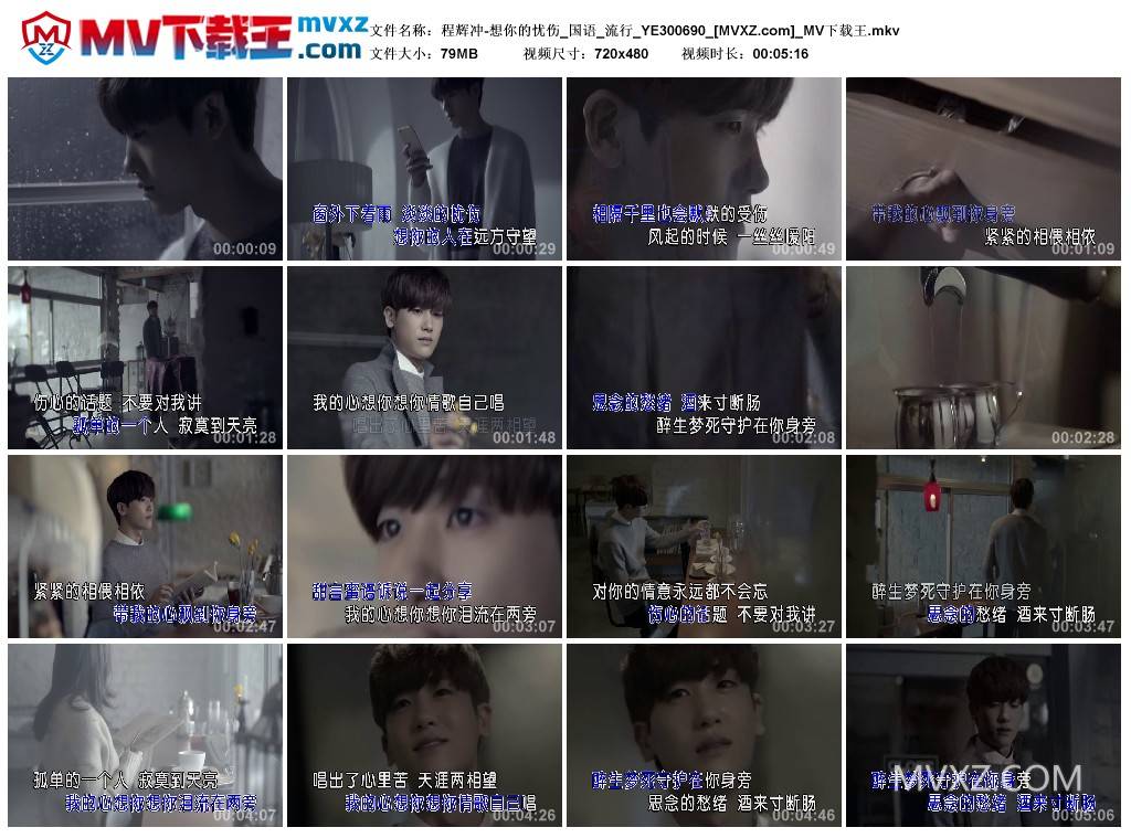 程辉冲-想你的忧伤_国语_流行_YE300690